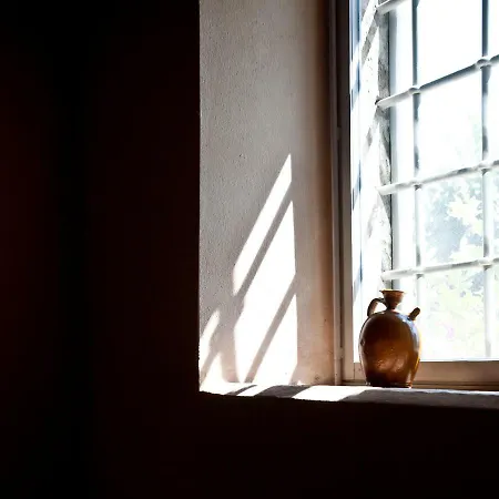 Glicine E Luna كاشينا