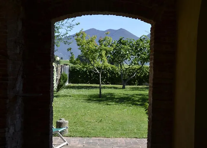 Glicine E Luna * Cascina (Pisa)